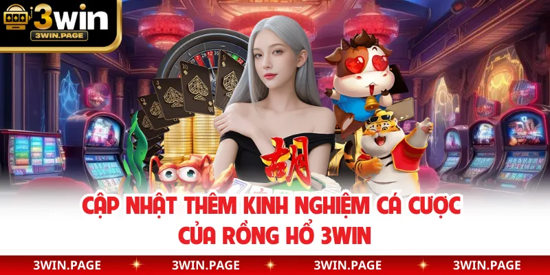 Cập nhật thêm kinh nghiệm cá cược của rồng hổ 3WIN